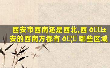 西安市西南还是西北,西 🐱 安的西南方都有 🦄 哪些区域